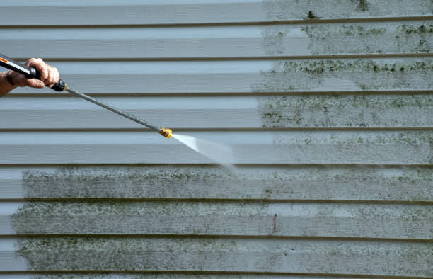 Best Certified Mold Removal  in Albany, MN