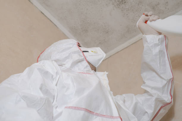 Best Emergency Mold Removal  in Albany, MN
